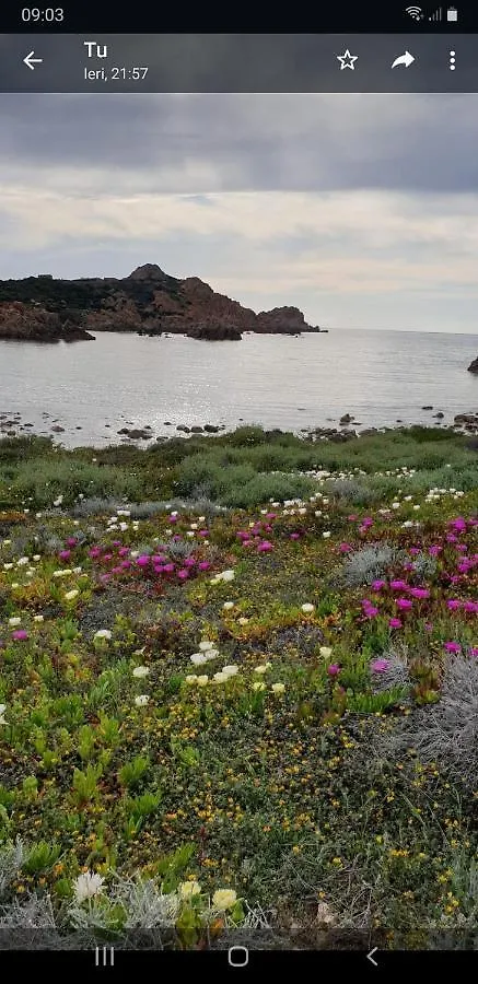 Vacanze in natura incontaminata Isola Rossa  Casa vacanze
