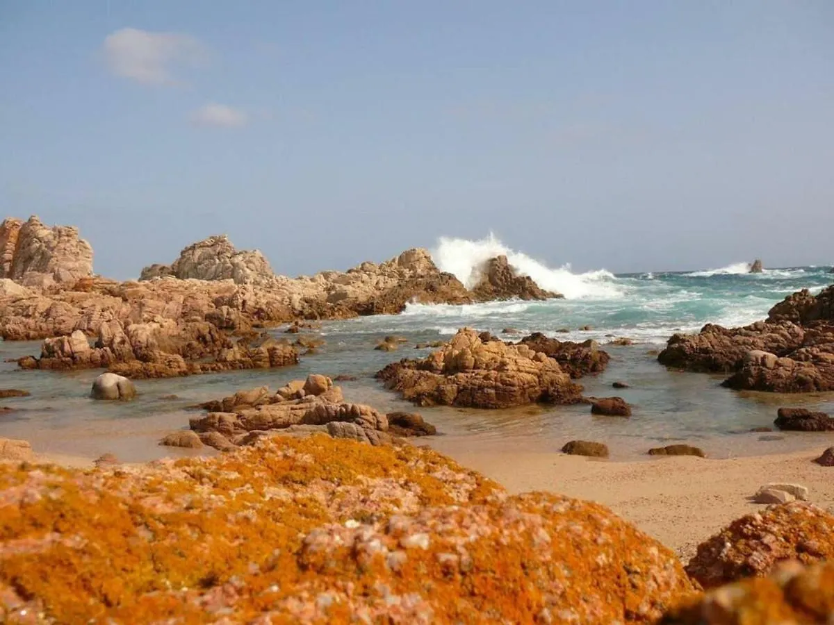 Vacanze In Natura Incontaminata 